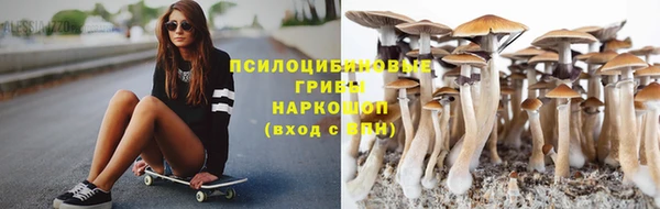 apvp Волосово