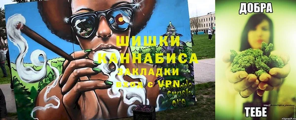 сатива Володарск